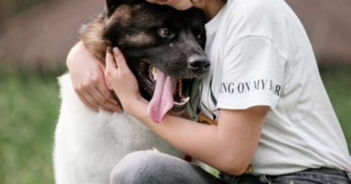 white pet with a girl